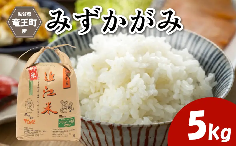 【令和8年産】 新米 みずかがみ 5kg 精米 環境こだわり米 化学肥料不使用 特別栽培米 2026年産 お米 滋賀県 竜王町