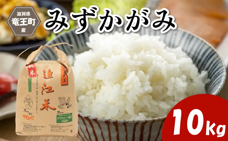 【令和8年産】 新米 みずかがみ 10kg 精米 環境こだわり米 化学肥料不使用 特別栽培米 2026年産 お米 滋賀県 竜王町