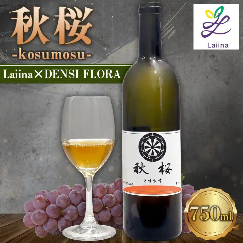 「秋桜 -kosumosu-」Laiina×DENSI FLORA FY26-279