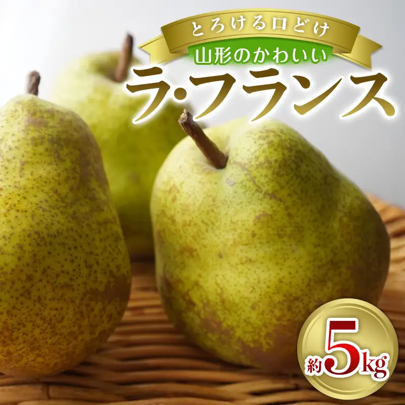 とろける口どけ 山形のかわいい ラ・フランス 約5kg(20~24 玉) FY26-283