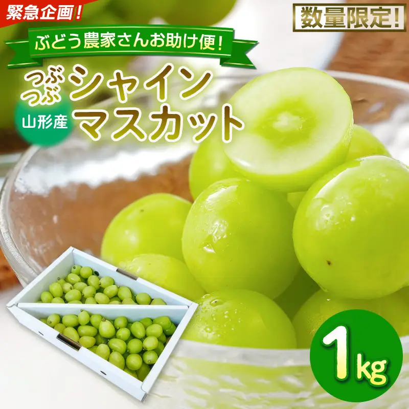 緊急企画！ぶどう農家さんお助け便！数量限定！つぶつぶシャインマスカット！1kg FY26-289