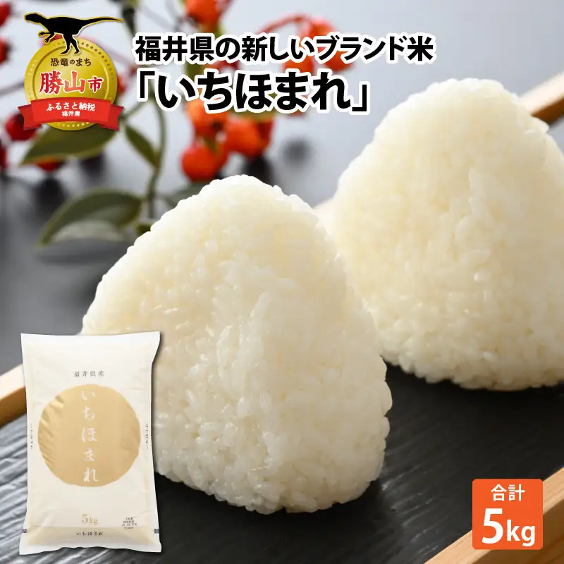 いちほまれ 5kg 精米 いちほまれ