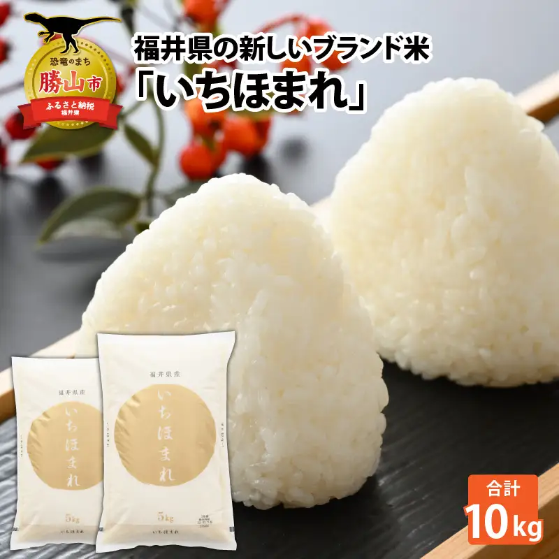 いちほまれ 10kg 精米 いちほまれ