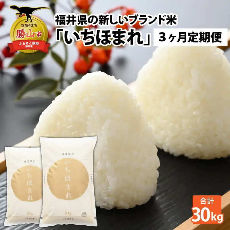 いちほまれ 30kg 精米 定期便 いちほまれ