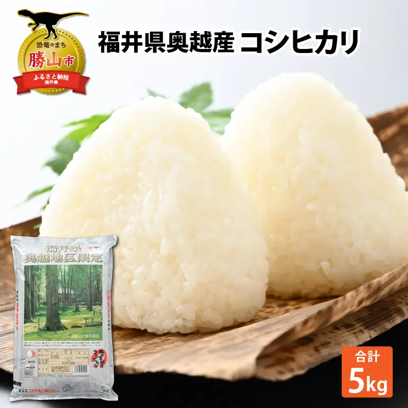 コシヒカリ 5kg 精米 コシヒカリ