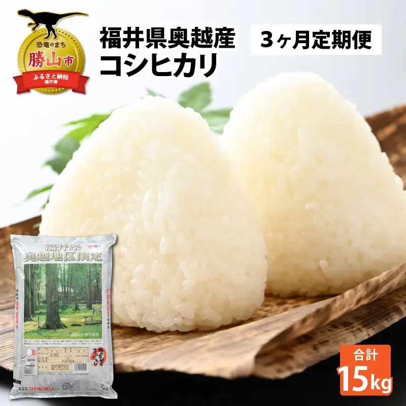 コシヒカリ 15kg 精米 定期便 コシヒカリ