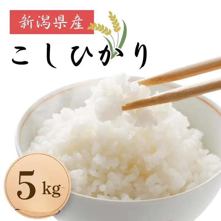 米 コメ お米 おこめ こしひかり 精米 白米 5kg 令和8年産 2026年産 送料無料 新潟 見附 見附市 岩渕農場