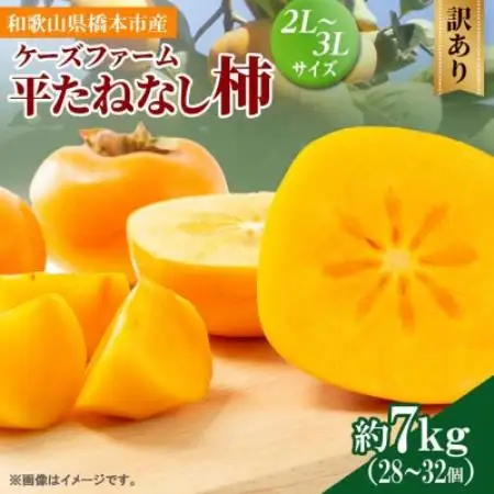 柿【2026年度発送分】ケーズファーム (訳あり) 平たねなし柿 約7kg【1783247】