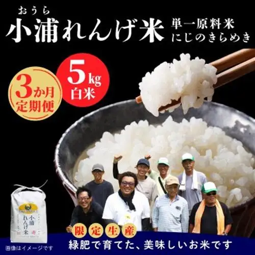【毎月定期便】小浦れんげ米(にじのきらめき) 精米(白米)5kg全3回【4092804】