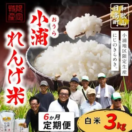 【毎月定期便】小浦れんげ米(にじのきらめき) 精米(白米)3kg　全6回【4092808】
