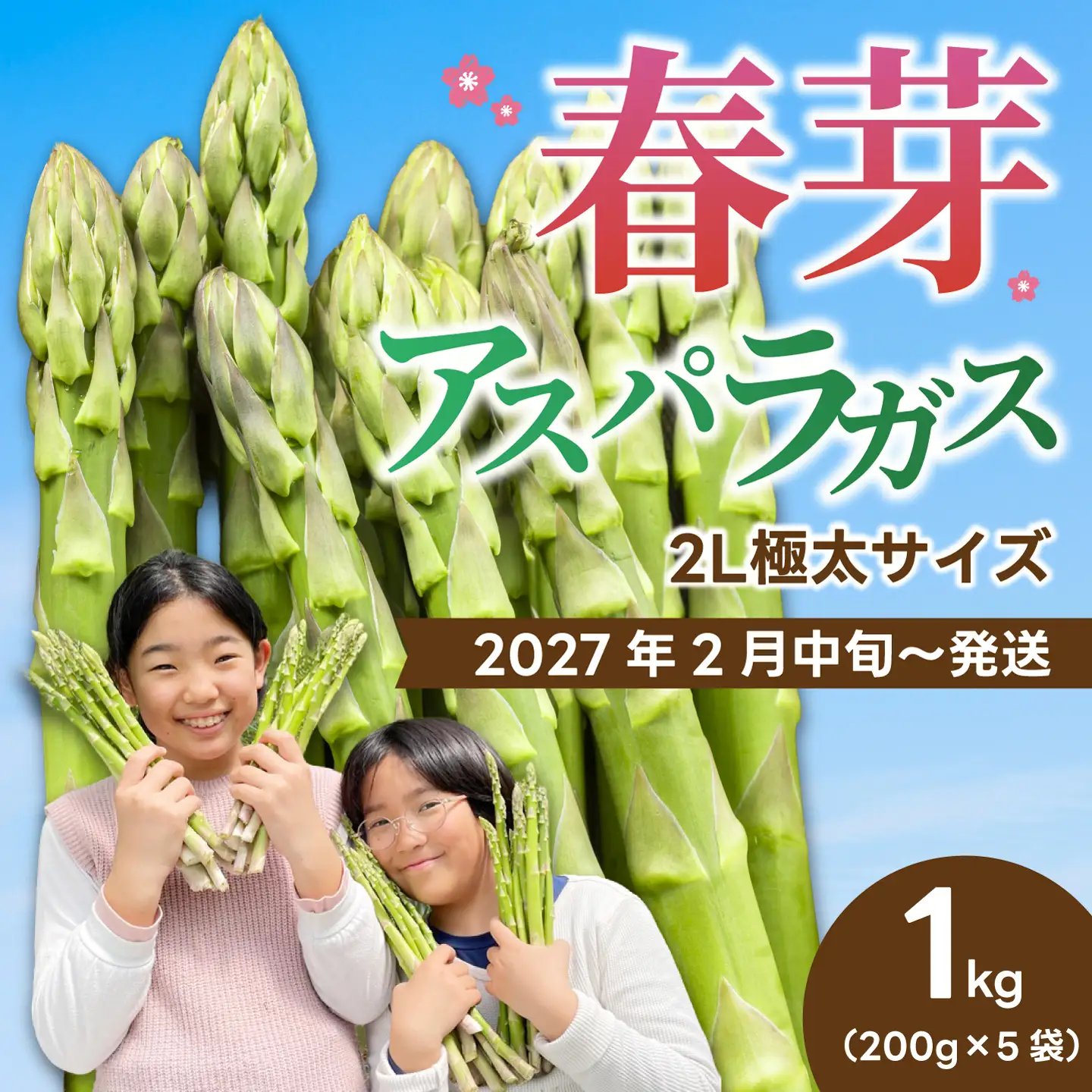《2027年2月中旬発送》春芽アスパラガス 約1kg （約200g×5袋） 先行受付 アスパラ あすぱら グリーンアスパラ 春芽 甘い 新鮮 野菜 サラダ ソテー ヘルシー 旬 春 ギフト 贈答用 広島県三原市 081002