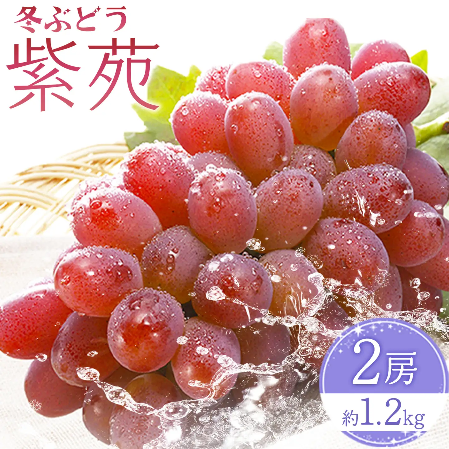 【2027年先行予約】冬ぶどう「紫苑」 2房 約1.2kg 環山堂株式会社 ぶどう