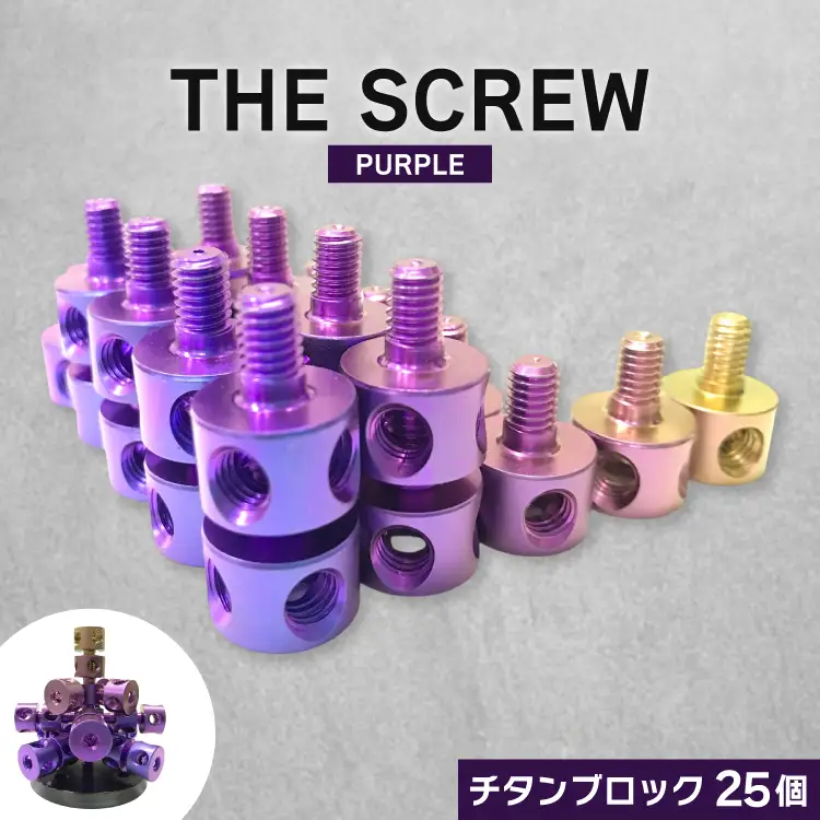 ネジ おもちゃ THE SCREW チタン25個入 パープル系