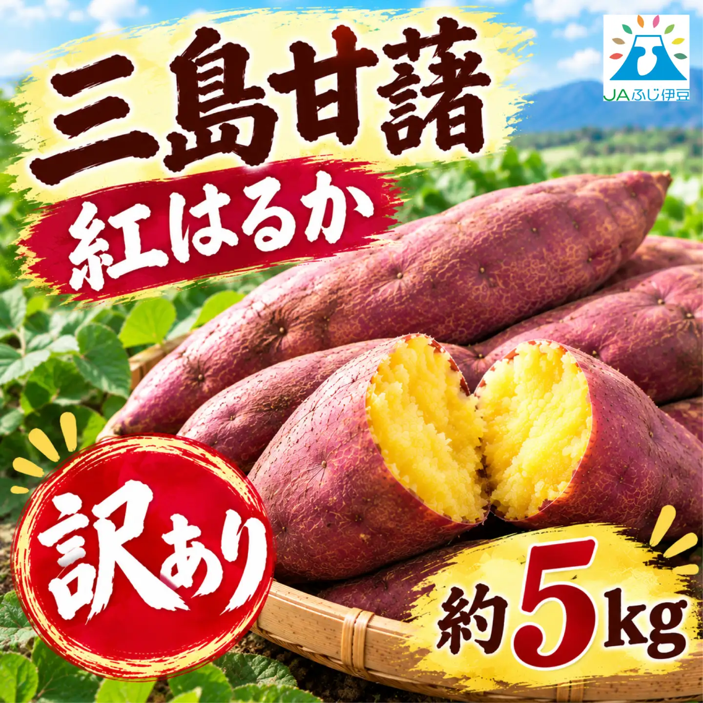 【予約受付中】 訳あり 三島甘藷 約5kg 紅はるか さつまいも 
