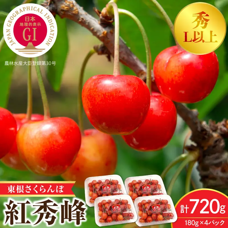 2027年産 GI  東根 さくらんぼ 紅秀峰 720g さくらんぼ