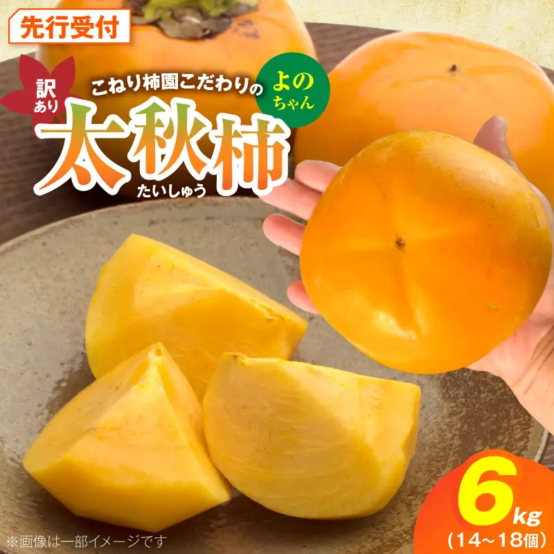 【先行受付】 訳あり 太秋柿 6kg こねり柿園こだわりの『よのちゃん太秋柿』 _KNR0408