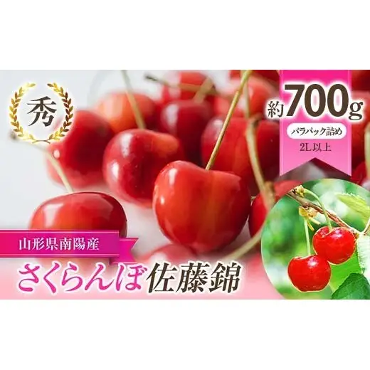 【令和9年産先行予約】 さくらんぼ 「佐藤錦」 約700g (秀 2L以上) バラパック詰め 《令和9年6月上旬～発送》 『生産者 佐藤 勇二』 サクランボ 果物 フルーツ 産地直送 [1957]