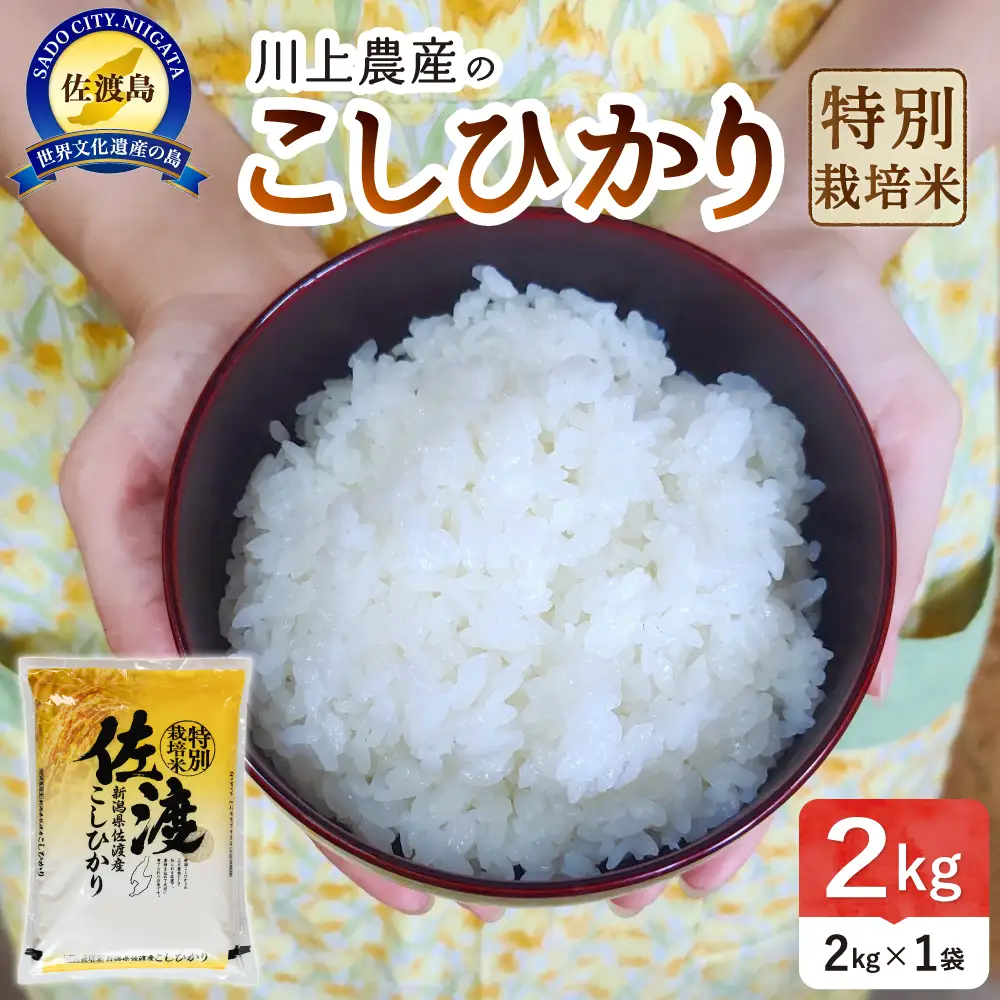 【コシヒカリ 2kg】令和7年産 佐渡産コシヒカリ 2kg 精米 少量パック 川上農産