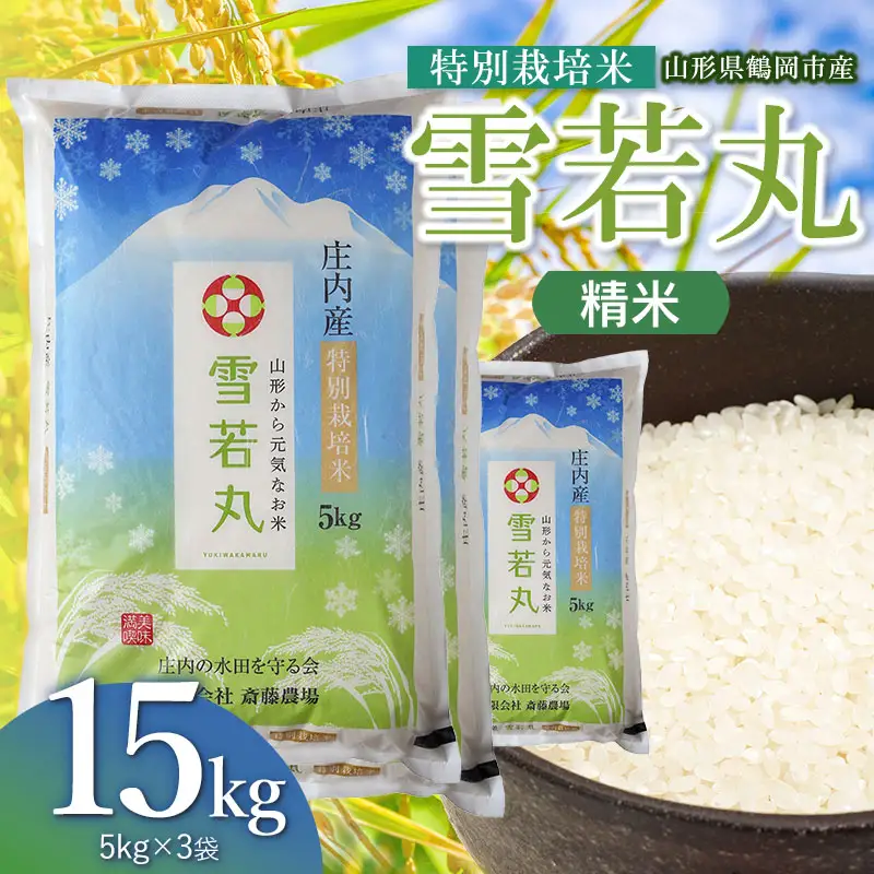 【令和8年産 新米】特別栽培米 雪若丸 精米 15kg（5kg×3袋） 山形県鶴岡市 K-8120 斎藤農場