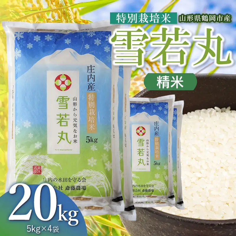 【令和8年産 新米】 特別栽培米 雪若丸 精米 20kg（5kg×4袋） 山形県鶴岡市 K-8165 斎藤農場