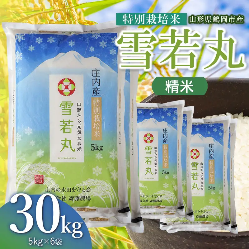 【令和8年産 新米】 特別栽培米 雪若丸 精米 30kg（5kg×6袋） 山形県鶴岡市 K-8240 斎藤農場