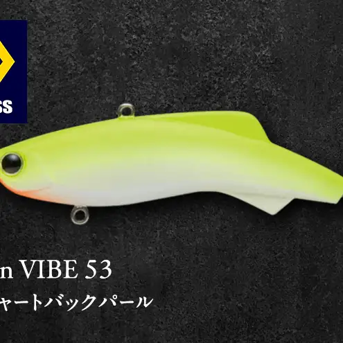shiriten VIBE 53 #02 チャートバックパール | 京都府京田辺市