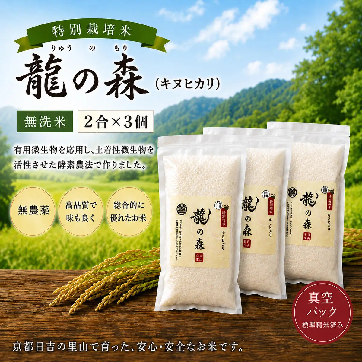 キヌヒカリ お米 特別栽培米 キヌヒカリ