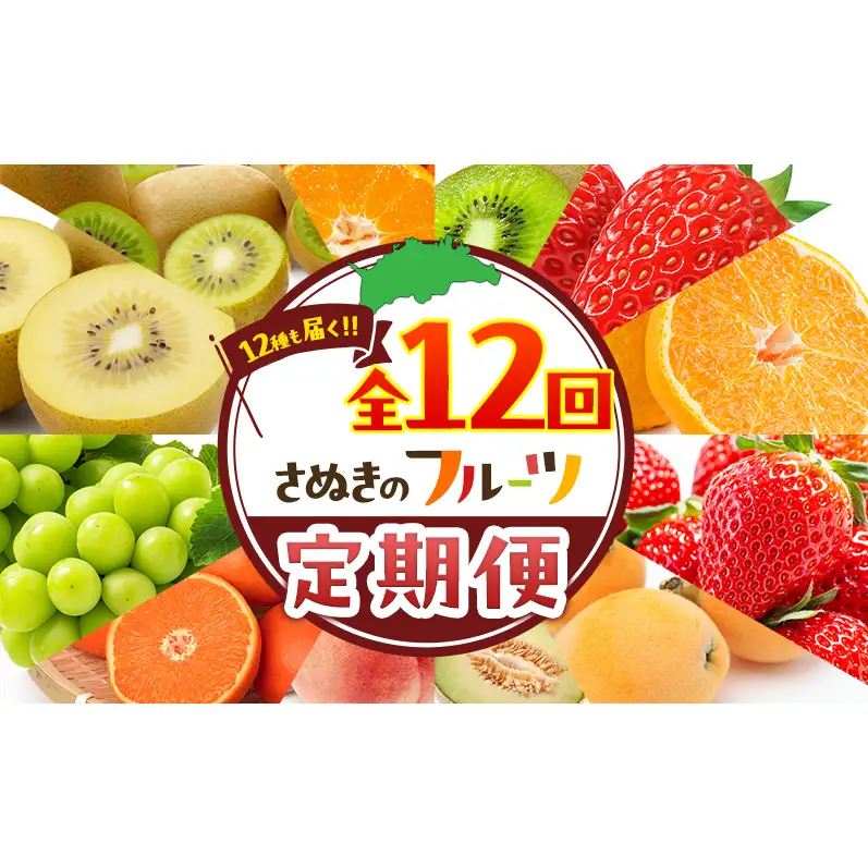 フルーツ 定期便 いちご メロン 桃 フルーツ【全12回 香川県産】 【46312860】