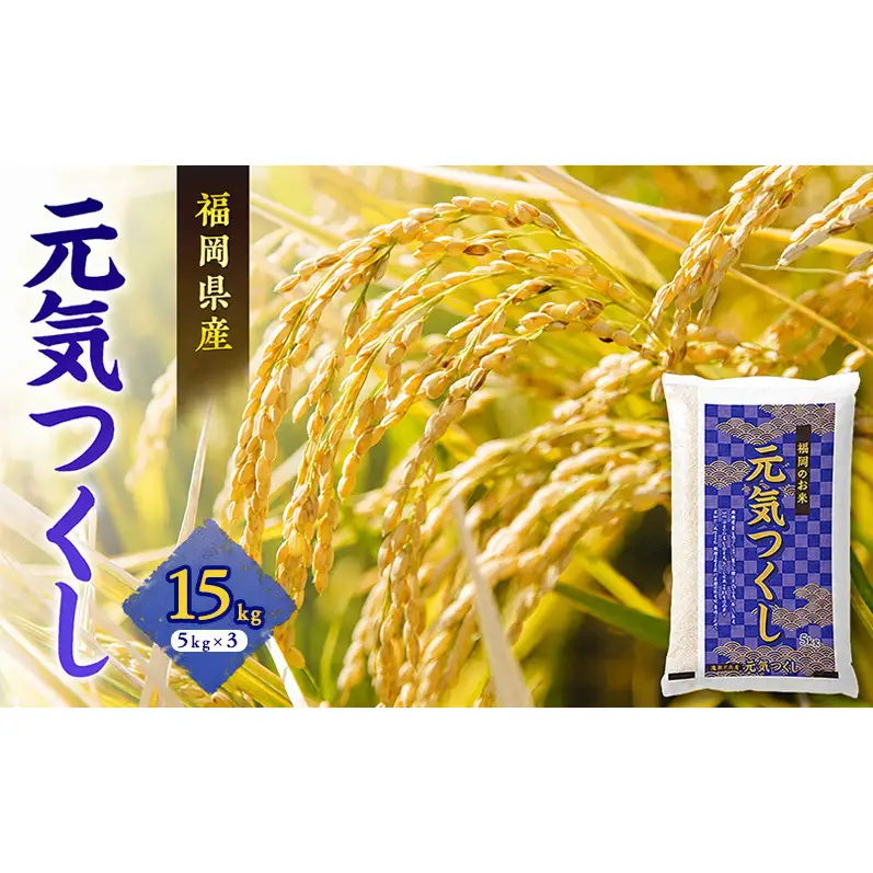 元気つくし 15kg 令和7年産 | 福岡県福岡市 | ふるさと納税サイト