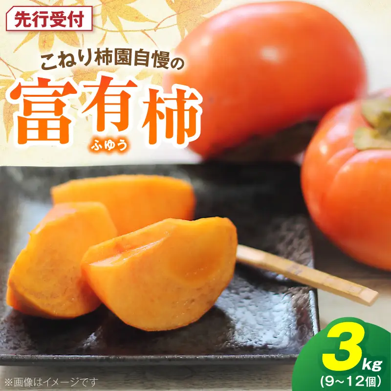 【先行受付】 富有柿 3kg こねり柿園自慢の富有柿 _KNR0508