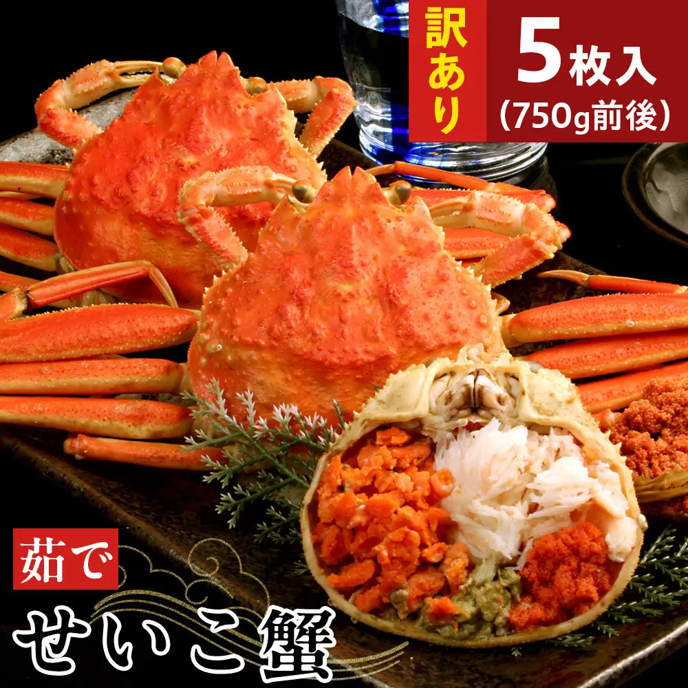 【11月中旬以降発送】訳あり 浜茹でせいこ蟹×5枚（750g前後）【鳥取県 境港市】