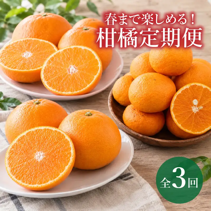 【全3回】春まで楽しめるおススメ柑橘定期便 | 紅まどんな せとか カラマンダリン【FA123】