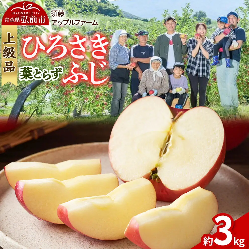 【26年10月発送】りんご ひろさきふじ 葉とらず【上級品】約3kg 贈答用 青森県 弘前市 果物 フルーツ 林檎 リンゴ くだもの ギフト 贈り物