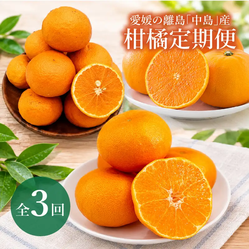 【全3回】愛媛の離島「中島」産柑橘定期便 2.5kg | 甘平 せとか カラマンダリン 【FA124】