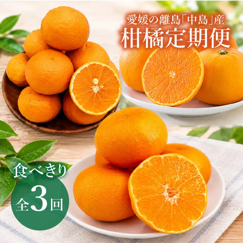【全3回】愛媛の離島「中島」産柑橘食べきり定期便 1.5kg | 甘平 せとか カラマンダリン【FA125】
