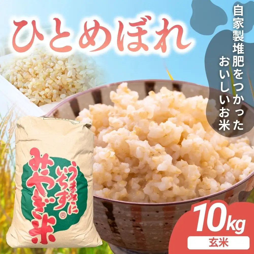 【先行予約】令和8年産 宮城県涌谷町産 ひとめぼれ 10kg＜玄米＞※2026年11月上旬以降に順次発送予定【saito004】