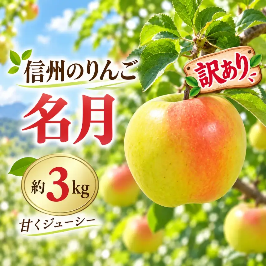 りんご 令和8年11月上旬発送 信州のりんご 名月 訳あり 約3kg【010-e1】
