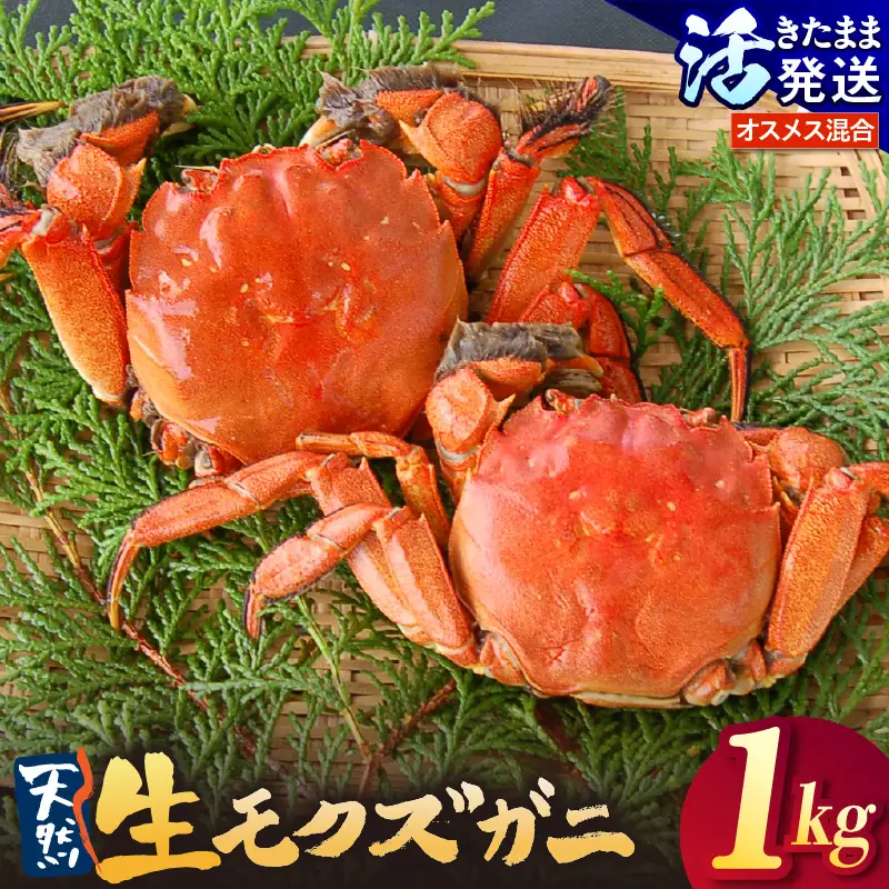 天然 活生モクズガニ 約1kg 冷蔵 74-32