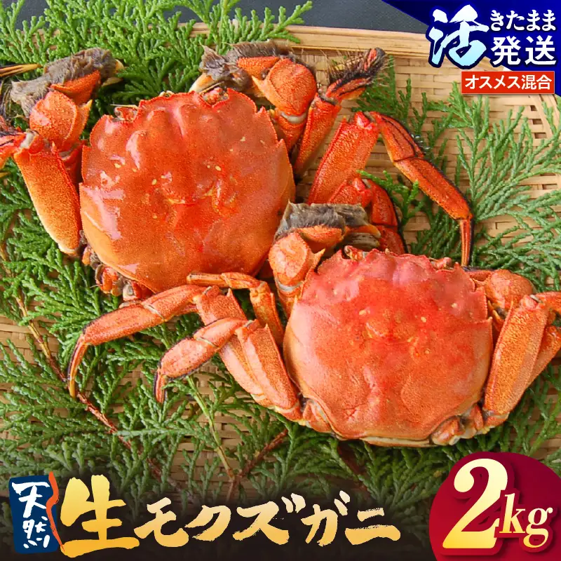 天然 活生モクズガニ 約2kg 冷蔵 74-33