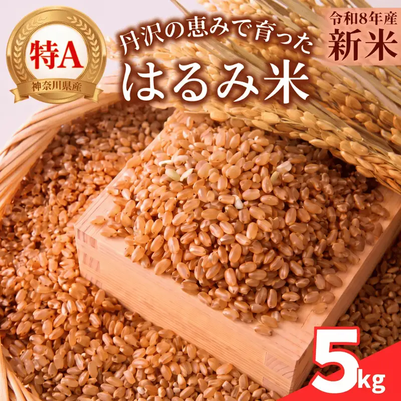 お米 5kg  はるみ 玄米 令和8年産  神奈川県 