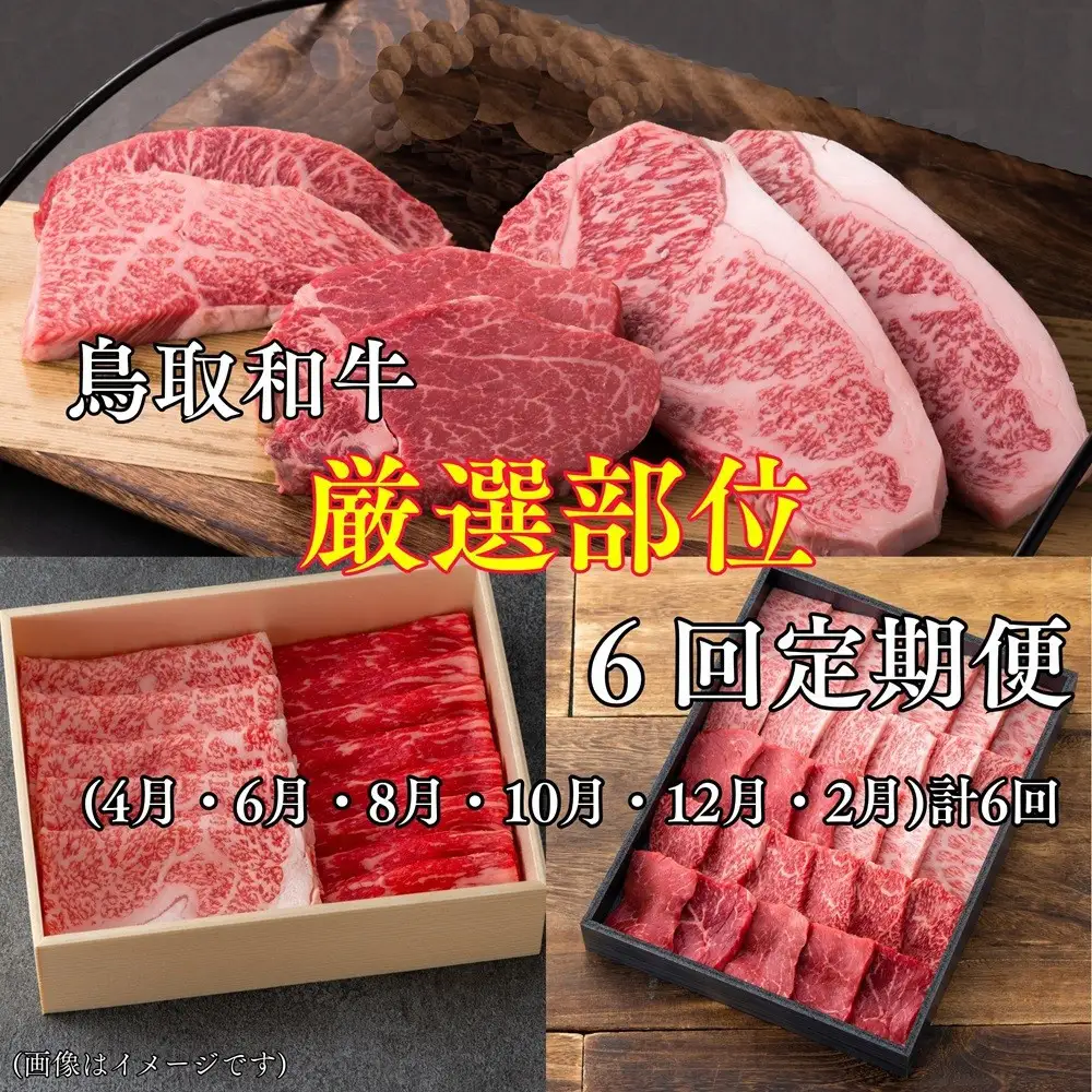 【6回定期便】鳥取和牛厳選部位　