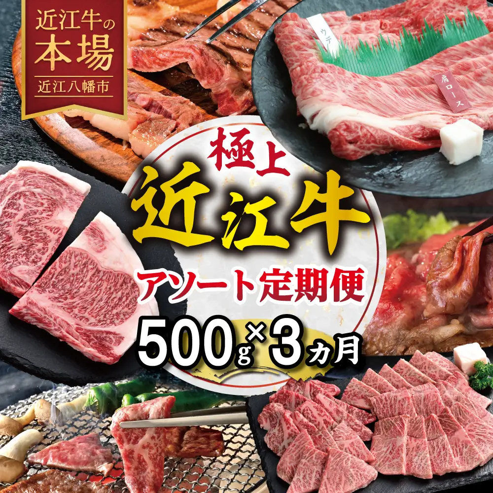 【期間限定】極上近江牛500g　食べ方色々！アソート定期便【ZZ61W】