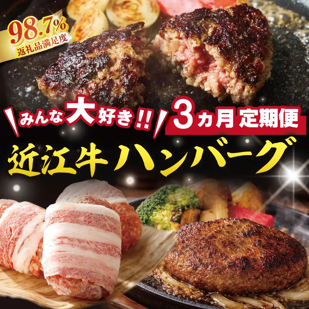 【期間限定】みんな大好き　ハンバーグ定期便【ZZ63W】