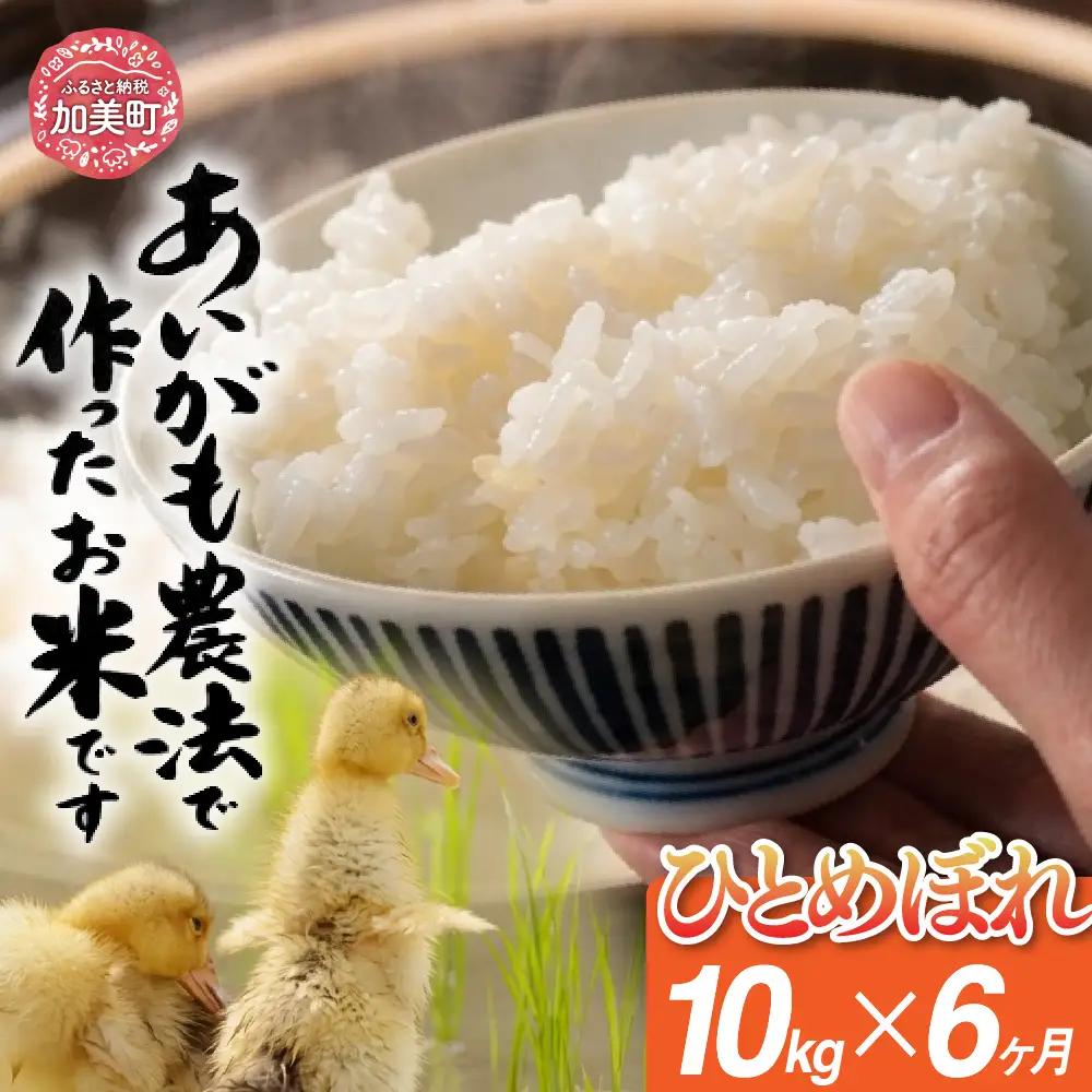 特別栽培米 あいがも農法でつくったひとめぼれ10kg×6回 ひとめぼれ