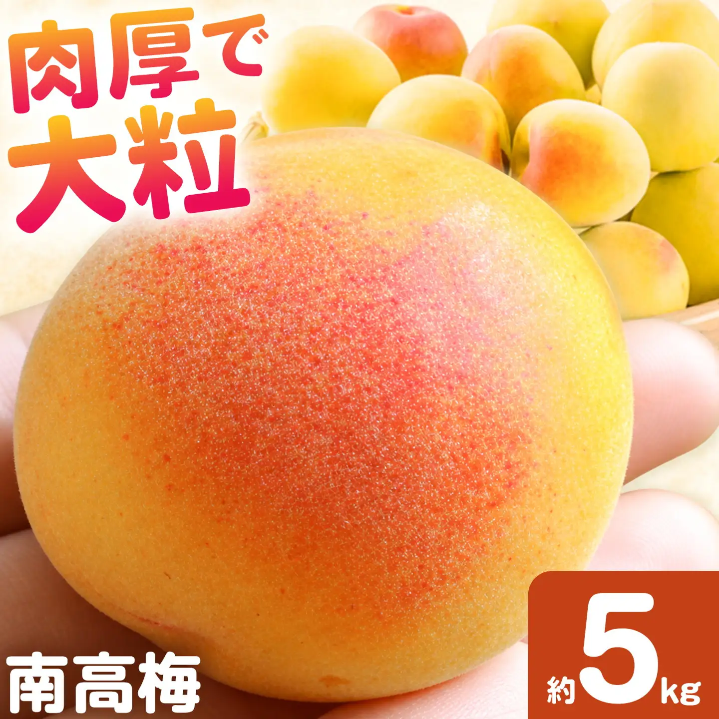 南高梅 約5kg マルツネ農園