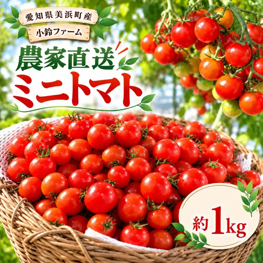 農家直送 ミニトマト 約 1kg