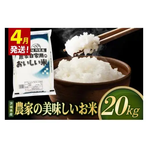 米 農家の美味しいお米 精米 20kg 令和8年産 茨城県産 阿見町産 お米 こめ コメ ごはん 白米 茨城県産米 単一米 単一原料米 安心 安全 送料無料 国産 人気 数量限定 （85-R8a109_04）