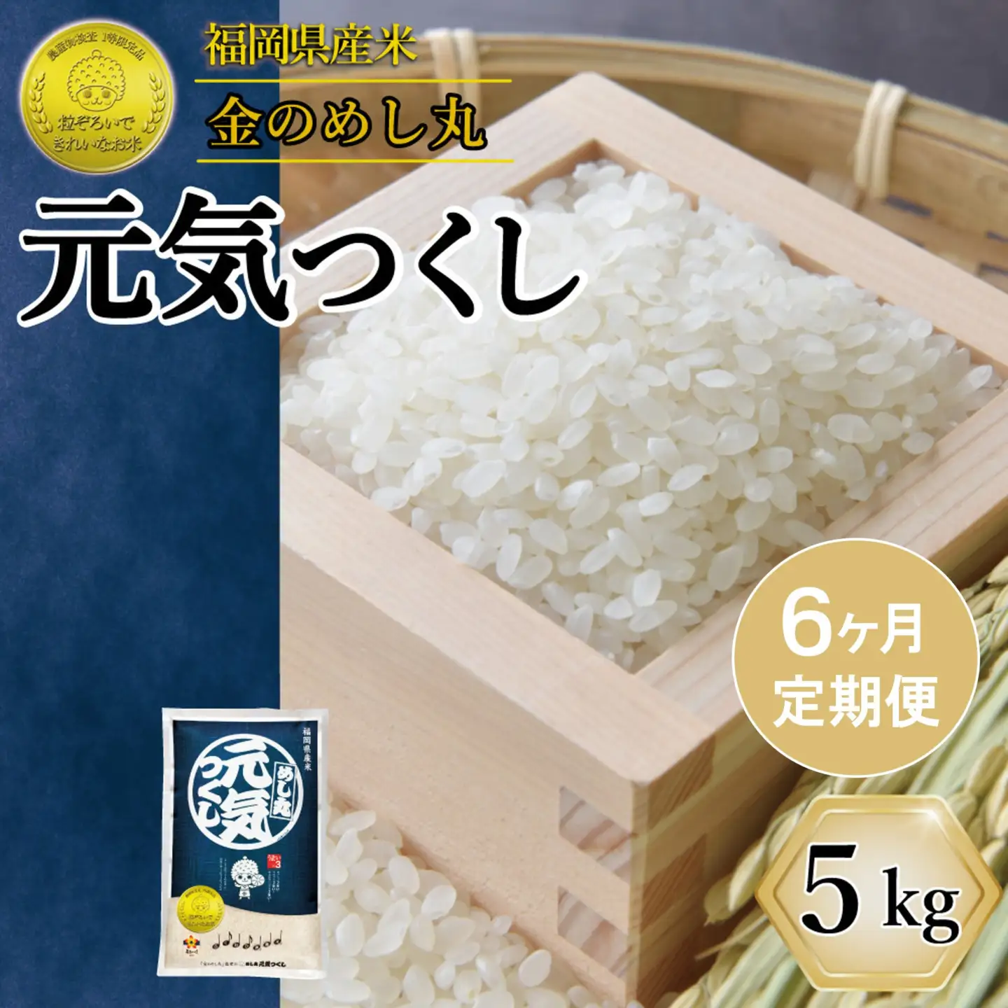 お米　新米　元気つくし　県産米　5キロ　20キロ 全6回 定期便＞新米 令和8年産 元気つくし 5kg 米 福岡県 | 福岡県大川