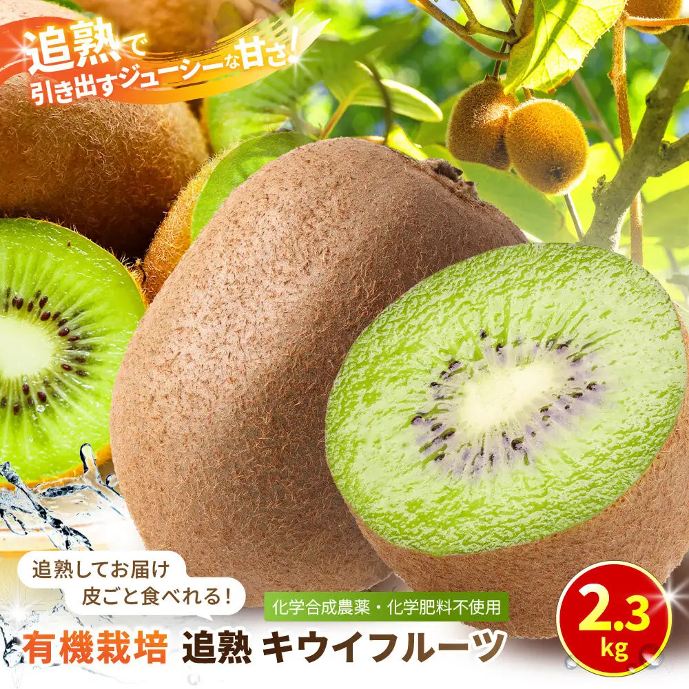 【先行予約】【有機栽培】追熟 キウイフルーツ 2.3kg【2026年12月上旬～2027年3月上旬発送】