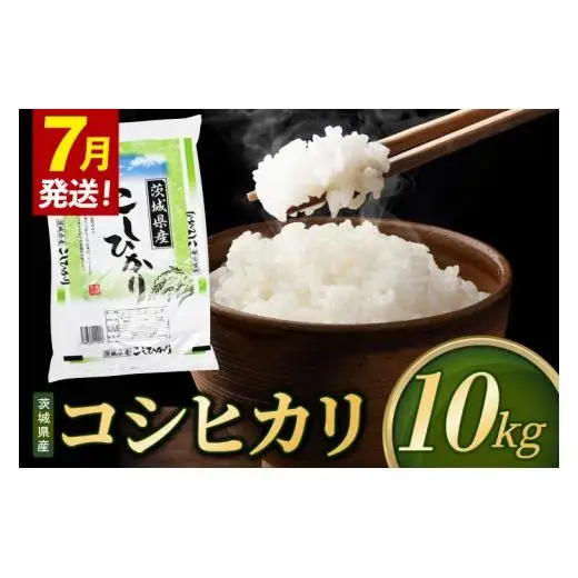 米 コシヒカリ 精米 10kg 令和8年産 茨城県産 お米 こめ コメ ごはん 白米 こしひかり 茨城県産米 単一米 単一原料米 安心 安全 送料無料 国産 人気 数量限定 （85-R8i049_07）